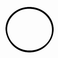 Кольцо уплотнительное клапанного распредвала задняя Cummins ISX Cummins | ТопДизель