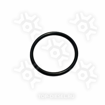 3867643 Кольцо уплотнительное EGR Cummins ISX/QSX15 Cummins купить