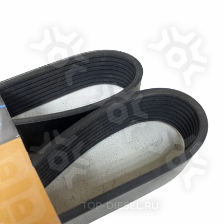 8PK970HD Ремень поликлиновой 8PK970 Volvo FH12/FH16 Dayco купить рис.3