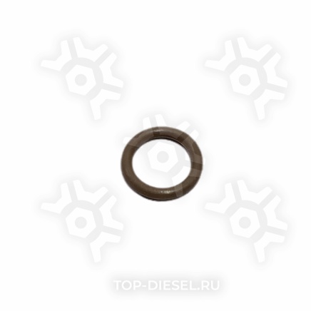 121251 Кольцо уплотнительное топливного насоса Cummins M11 Freightliner/International PAI купить