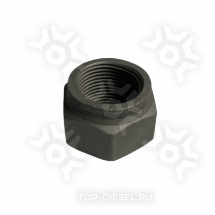 8902331SX Гайка стремянки M22x1.5-10 BPW Stellox купить