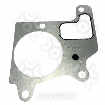 M3682673 Прокладка крышки корпуса термостата EGR Cummins ISX, Freightliner/International McBEE купить