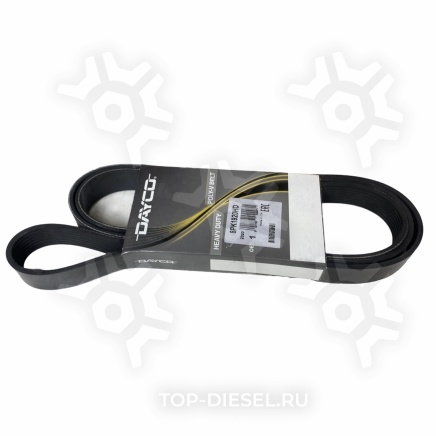 8PK1920HD Ремень поликлиновой 8PK1920 MAN TGA Dayco купить рис.2