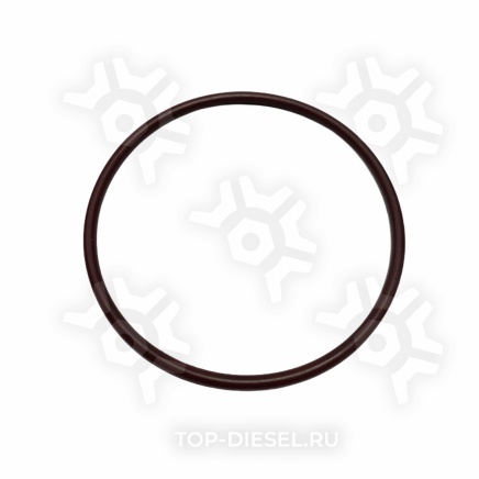 3678724 Кольцо уплотнительное помпы Cummins ISX Freightliner/International CUMMINS купить