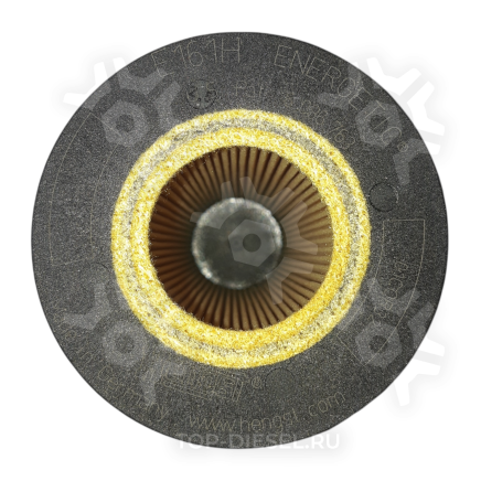 E161HD28 Фильтрующий элемент масла Man F2000 Hengst купить рис.2