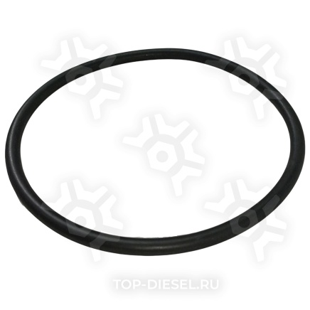 389550 Кольцо уплотнительное 109.2X5.7B-NBR3-70 Diesel Technic купить рис.2