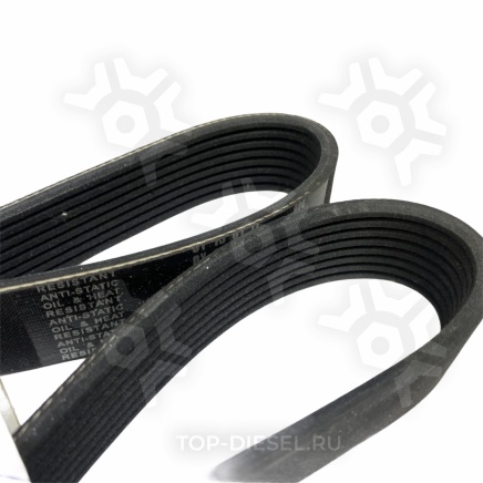 0800955SX Ремень поликлиновой Volvo FH12/FL12 8PK955 Stellox купить рис.3
