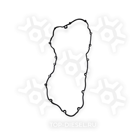 540065 Прокладка клапанной крышки DAF CF85, DAF XF95, DAF 105XF DT купить