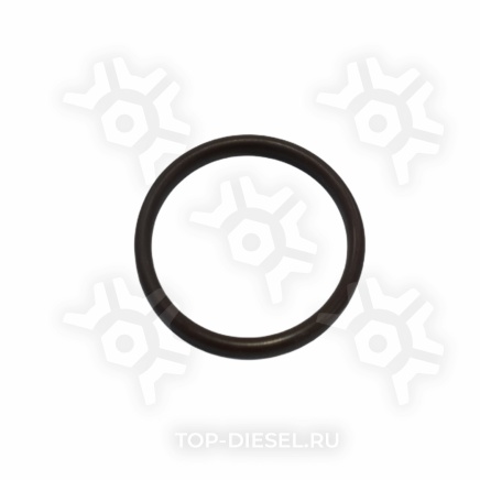 121090 Уплотнительное кольцо форсунки Iveco EuroTrakker/EuroTech Lema купить