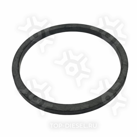 3080770 Кольцо уплотнительное корпуса термостата Cummins M11 Cummins купить