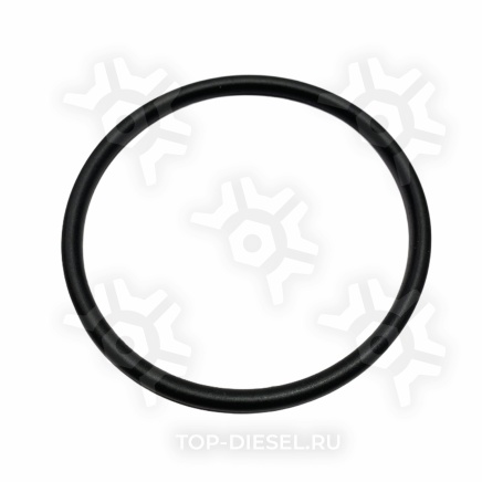 3101662 Уплотнительное кольцо Cummins 3101662 купить