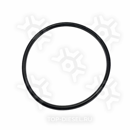 4059172IPD Кольцо уплотнительное Cummins ISX IPD купить
